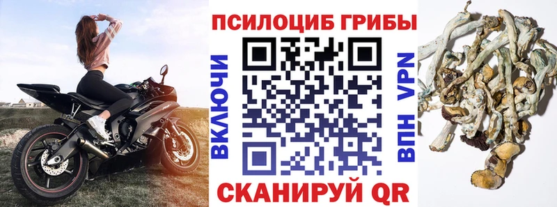 Галлюциногенные грибы MAGIC MUSHROOMS  Славгород 